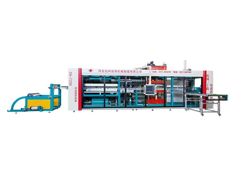 PET PP Punnet Fruit Packaging Tray Thermoforming Machine