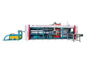 PET PP Punnet Fruit Packaging Tray Thermoforming Machine